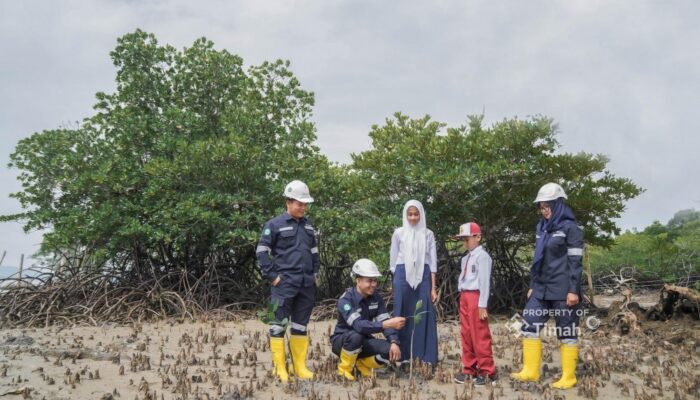Wujudkan Aksi Nyata, PT Timah Tanam Ratusan Ribu Mangrove Dukung Target Net Zero Emission