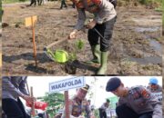 Polda Babel Tanam Ribuan Bibit Pohon Serentak di Lahan 18 Hektare, Wujud Nyata Kepedulian Lingkungan