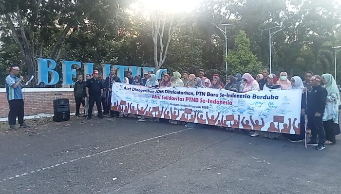 Aksi Solidaritas P3K Universitas Bangka Belitung  Tuntut Alih Status PNS
