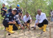 Langkah Berkelanjutan PT Timah Dalam Melestarikan Lingkungan, Tanam 2500 Bibit Mangrove di Karimun 