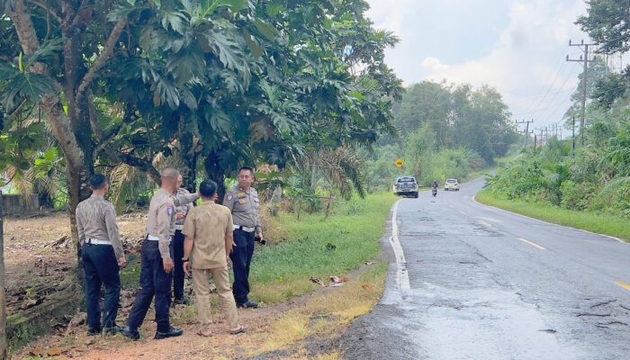 Direktur Lalu Lintas Polda Babel Tinjau Lokasi Rawan Kecelakaan di Jalan Pangkalpinang-Mentok