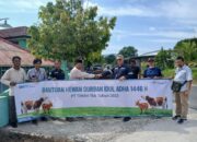 Tebar Hewan Kurban di Bangka Barat, Warga Sebut PT Timah Tidak Pernah Absen Berikan Hewan Kurban 