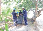 Hari Lingkungan Hidup Sedunia, PT Timah Gelar Aksi Nyata Kumpulkan Sampah Plastik Hingga Tanam Pohon di Pantai 