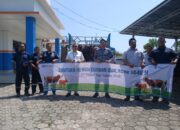 Idul Adha Penuh Makna, PT Timah Bagikan Hewan Kurban untuk Masyarakat Bangka Barat