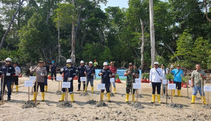 Langkah Nyata PT Timah Dalam Peringatan Hari Lingkungan Hidup Sedunia, Tanam Ribuan Pohon Mangrove di Pesisir Pantai Tanjung Labun Untuk Cegah Abrasi 