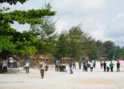 Momen Hari Lingkungan Hidup Sedunia, PT Timah Bersama Pokdarwis Rambak Kumpulkan Sampah Plastik di Kawasan Wisata 