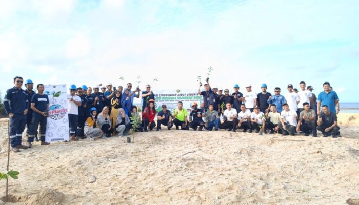 Hari Lingkungan Hidup Sedunia 2025: Ini Rangkaian Kegiatan Pelestarian Lingkungan yang Dilakukan PT Timah, Kumpulkan Sampah Plastik Hingga Tanam Pohon