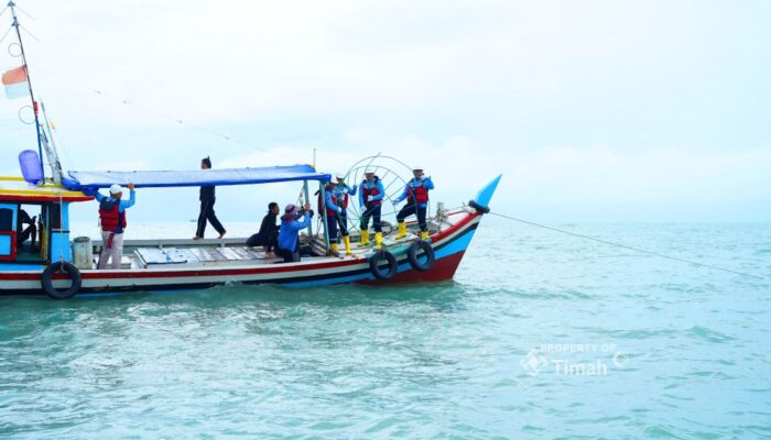 PT Timah Tenggelamkan Artificial Reef, Nelayan Tanjung Kubu Bangka Selatan Jadi Lebih Mudah Tangkap Ikan