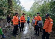 Pemuda Hilang di Hutan Kebun Sawit Bangka Barat, Tim SAR Diterjunkan