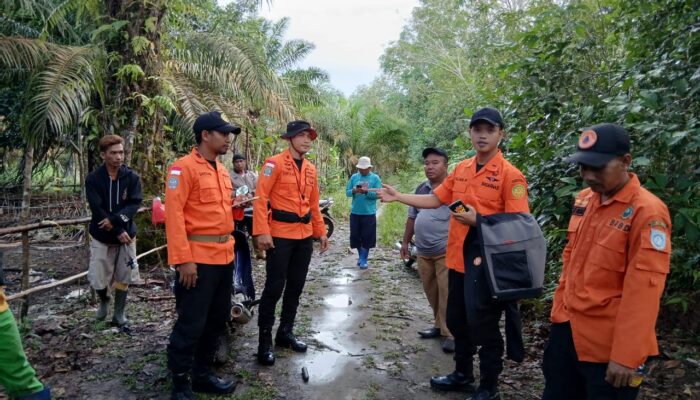 Pemuda Hilang di Hutan Kebun Sawit Bangka Barat, Tim SAR Diterjunkan