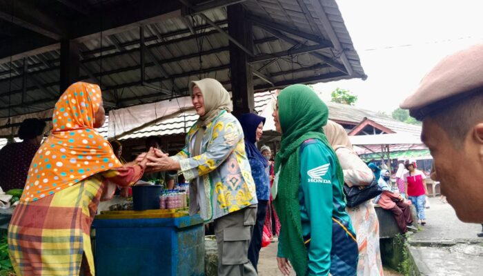 Wagub Babel Hellyana Kunjungi Pasar Pagi Belinyu, Sapa Pedagang dan Beri Semangat di Tengah Lesunya Daya Beli