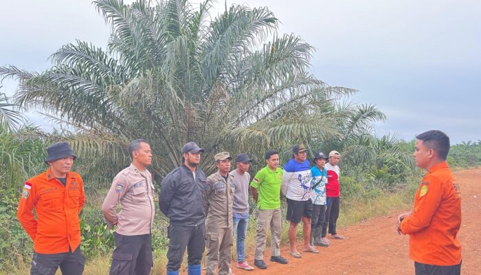 Nenek 75 Tahun Dilaporkan Hilang di Perkebunan Cit, Tim SAR Dikerahkan