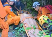 Empat Pendaki Alami Hipotermia di Bukit Pading, Tim SAR Berhasil Lakukan Evakuasi