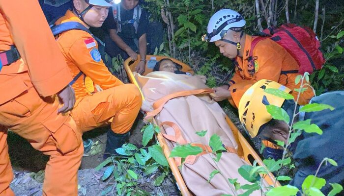 Empat Pendaki Alami Hipotermia di Bukit Pading, Tim SAR Berhasil Lakukan Evakuasi