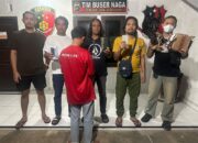 Polisi Tangkap Mantan Pegawai JNE, Diduga Curi Puluhan HP Bernilai Ratusan Juta dengan Modus Retur Barang