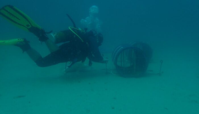 PT Timah Tenggelamkan Atraktor Cumi di Perairan Buku Limau Belitung Timur