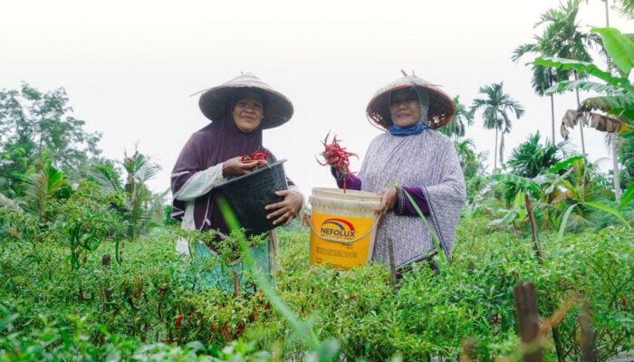 Dari Desa untuk Bangsa, PT Timah Dukung Kemandirian Ekonomi Masyarakat Lewat Pemberdayaan Potensi Lokal