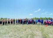 Jaga Ekosistem Pesisir, PT Timah Bersama HNSI Bangka Tanam Ribuan Mangrove di Nelayan II Sungailiat 