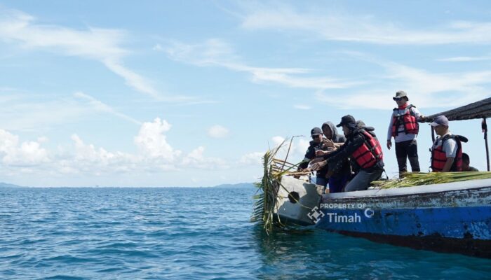 Coral Garden PT Timah: Kolaborasi Rawat Laut yang Hasilkan Ikan, Wisata, dan Harapan Baru
