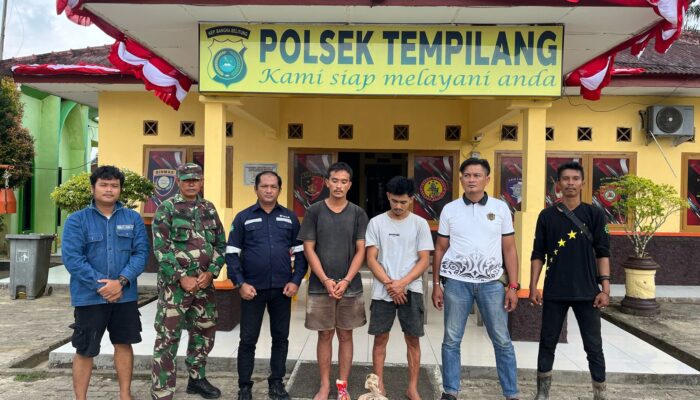 Lindungi Aset Negara, PT Timah Tbk Tindak Tegas Pelaku Pencurian Bijih Timah di Tempilang 