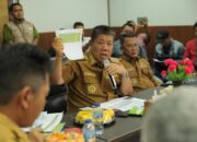 Belitung Siap Kembangkan Perkebunan Kelapa Bernilai Triliunan Rupiah