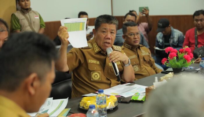 Belitung Siap Kembangkan Perkebunan Kelapa Bernilai Triliunan Rupiah