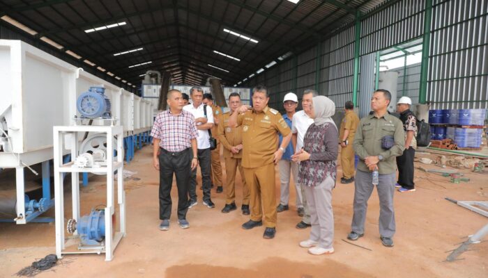 Gubernur Babel Tinjau Pabrik Plywood Rp500 Miliar di Beltim, Target Operasi September
