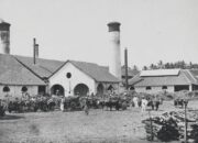 Manis dan Getir: Sejarah Pabrik Gula di Indonesia