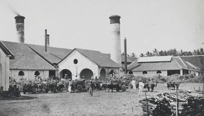 Manis dan Getir: Sejarah Pabrik Gula di Indonesia