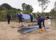  PT Timah Tbk Bersama Tim Gabungan Tertibkan Tambang Ilegal di Belitung