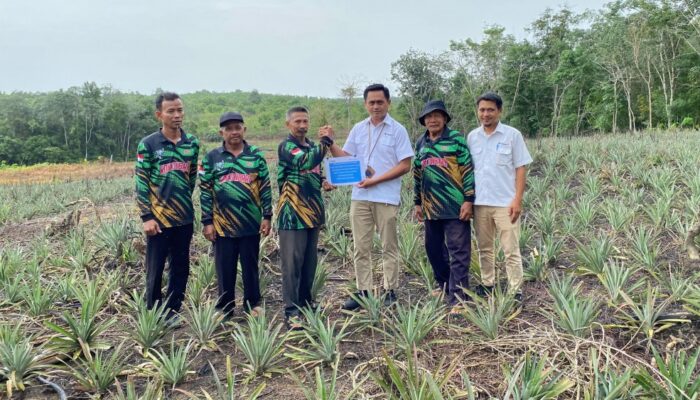 Perkuat Ekonomi Masyarakat, PT Timah Bantu Petani di Kundur Lewat Bibit Tanaman