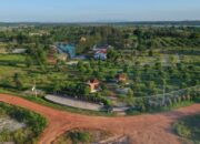 Reklamasi Darat PT Timah, Dari Lahan Pascatambang Menjadi Ruang Hidup Baru