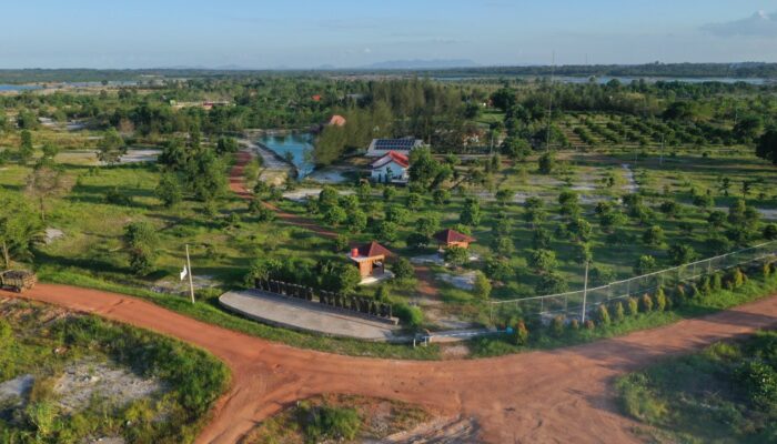 Reklamasi Darat PT Timah, Dari Lahan Pascatambang Menjadi Ruang Hidup Baru