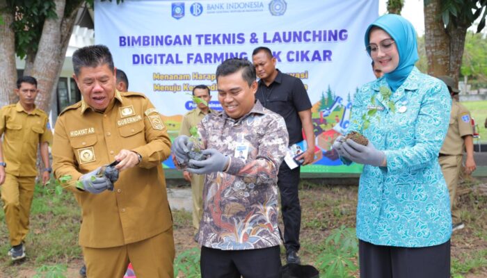 Gubernur Hidayat Arsani Luncurkan Digital Farming di Kebun PKK Babel: Wujudkan Ketahanan Pangan dari Pekarangan Rumah