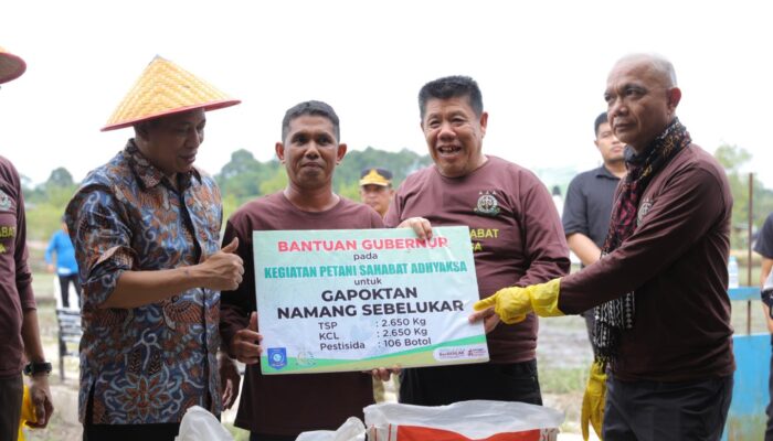 Menkop Ferry dan Gubernur Hidayat Hijaukan Lahan Kritis Namang, Lanjutkan Ritual Adat Tanam Padi