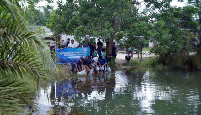 PT TIMAH Tbk Dorong Pemanfaatan Kolong Eks Tambang Jadi Ekosistem Produktif