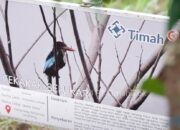 Bersama PPS Alobi, PT TIMAH Tbk Rawat dan Kembalikan Satwa ke Alam Bebas