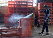  Dukung UMKM Makin Berkembang, PT TIMAH Tbk Serahkan Mesin Steam untuk Usaha Ayam Potong di Pangkalpinang