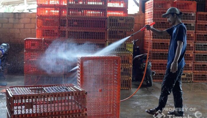  Dukung UMKM Makin Berkembang, PT TIMAH Tbk Serahkan Mesin Steam untuk Usaha Ayam Potong di Pangkalpinang