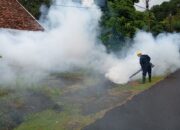 Cegah DBD di Wilayah Operasional Perusahaan, PT TIMAH Tbk Lakukan Fogging Hingga Sosialisasikan 3M 