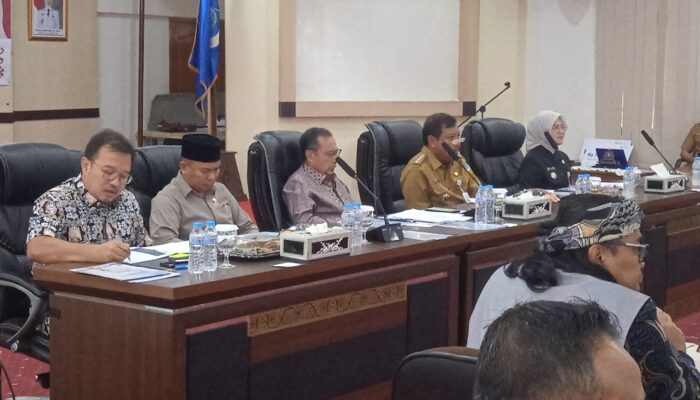 Wali Kota Saparudin Sambut Komisi IX DPR RI, Bahas Profesionalitas Pengawas Tenaga Kerja di Pangkalpinang