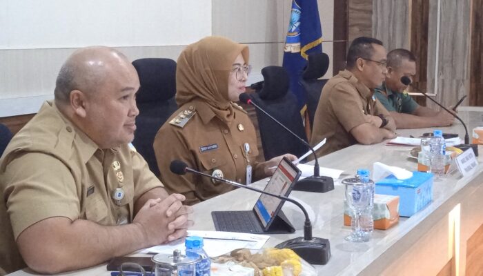 Dessy Ayutrisna Dorong Partisipasi Publik dalam Penyusunan RPJMD 2025–2029