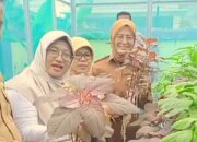 Wakil Wali Kota Dessy Ayutrisna Apresiasi SDN 28 Pangkalpinang, Sekolah Sehat dengan Inovasi Hidroponik