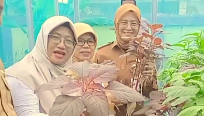 Wakil Wali Kota Dessy Ayutrisna Apresiasi SDN 28 Pangkalpinang, Sekolah Sehat dengan Inovasi Hidroponik