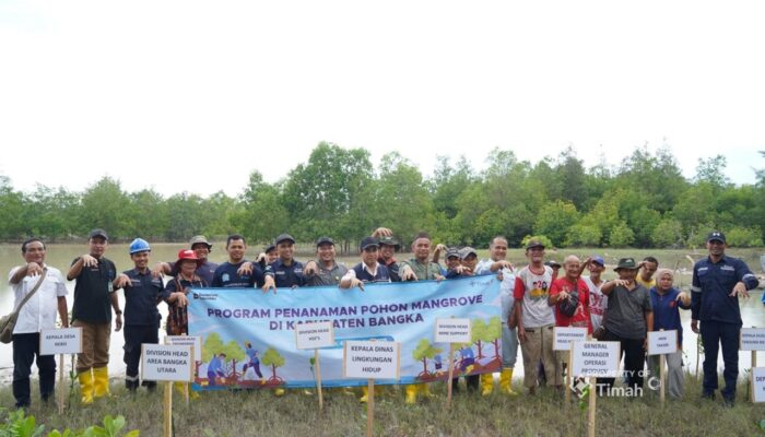 Komitmen Pelestarian Ekosistem Pesisir, PT TIMAH Tbk Tanam 5000 Bibit Mangrove di Pantai Takari