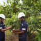 PT TIMAH Tbk Konsisten Laksanakan Reklamasi, Satu Dekade Sudah Tanam 1,4 Juta Pohon di Provinsi Kepulauan Bangka Belitung