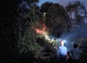 PT TIMAH Tbk Bergerak Cepat Bantu Warga Padamkan Kebakaran Lahan