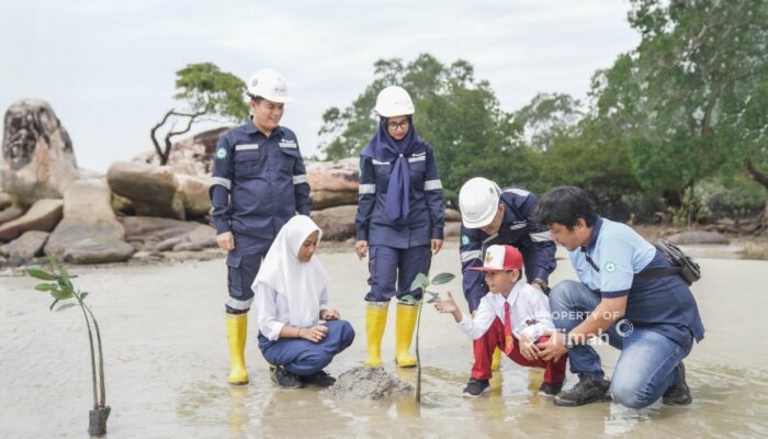 Edukasi Pelajar Soal Lingkungan, PT TIMAH Tbk Tanamkan Kepedulian Lewat Program Mangrove