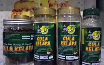 Gula Kelapa AYCO, Manis Alami dengan Segudang Manfaat Kesehatan