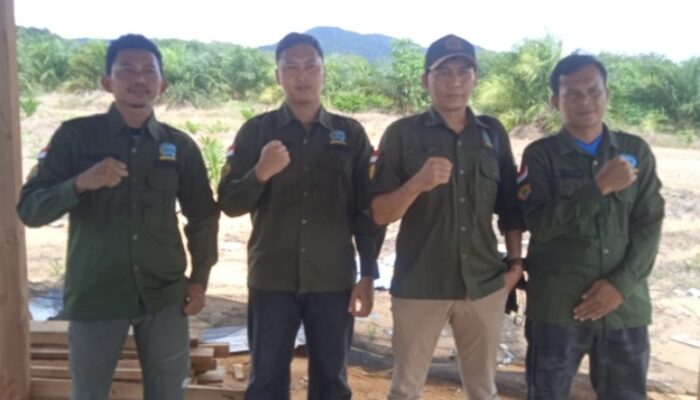 Harga Sawit Tertekan, FORMAP Ungkap Penyebab dan Tuntut Solusi Nyata